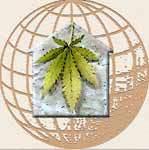 Blog bioedilizia canapa calce