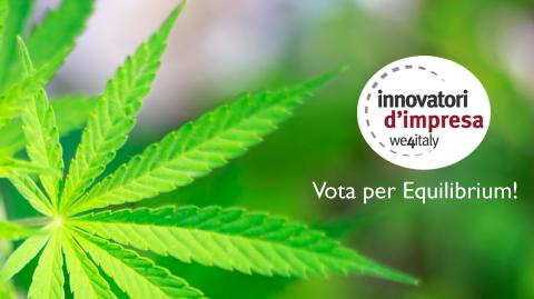 We4italy - vota per Equilibrium! We4italy - vota per Equilibrium!